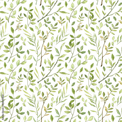 Seamless pattern with detailed realistic green plants. Floral pattern. Watercolor high quality hand painted leaves and branches isolated on white background. Botany wallpapers. Wrapping paper design