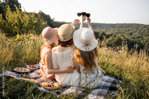 Back view of stunning pretty girlfriends sitting on plaid on green grass and raised the glasses of red wine, celebrating party. Women on the nature picnic.