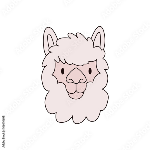 Cartoon llama head isolated. Colored vector illustration of an alpaca head with an outline on a white background. Cute animal illustration.