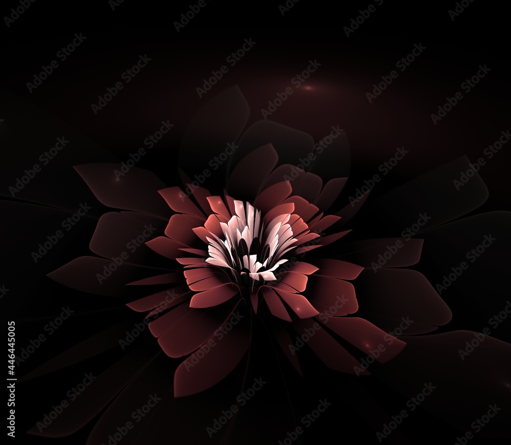 Dark fractal flower, digital artwork for creative graphic design...Fractal pattern in the shape of flowers on a black background.Abstract fractal background
