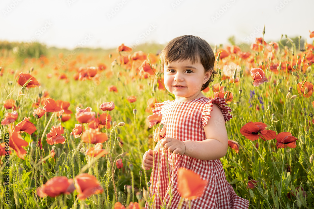 beautiful baby girl in red dress on field of poppies at summer sunset. beautiful baby girl in red dress on field of poppies at summer sunset.