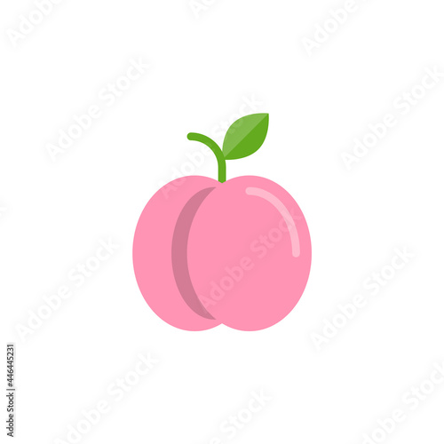 purple plum (Prunus domestica or prem) isolated on a white background