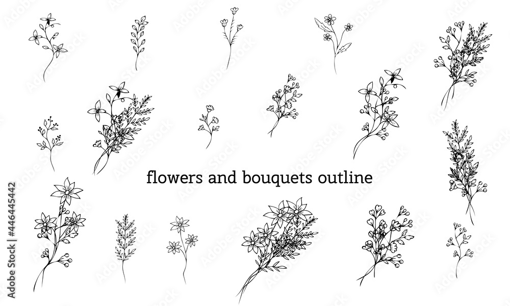 Obraz Plants and bouquets without filling on a white background. Flowers and branches in the doodle style are hand drawn. The outline of thin branches and twigs. Vector illustration. Isolated objects.