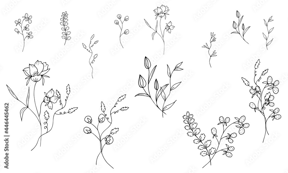 Plants and bouquets without filling on a white background. Flowers and branches in the doodle style are hand drawn. The outline of thin branches and twigs. Vector illustration. Isolated objects. Plants and bouquets without filling on a white background. Flowers and branches in the doodle style are hand drawn. The outline of thin branches and twigs. Vector illustration. Isolated objects.