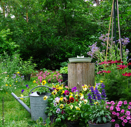 Wild herb and field flowers with iron watering can. English cottage style gardening picture. Gardening concept of a rural garden. good for insects like bees en butterflies with wooden natural ladder 