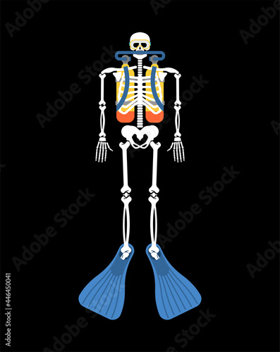 Diver skeleton isolated. frogman skull. vector illustration