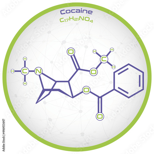 Large and detailed infographic of the molecule of Cocaine