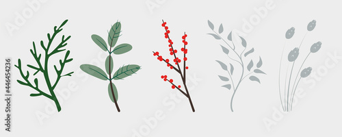 Vector branches of winter plants, conifers christmas tree, holly plant berries and ears. Perfect for chritmas and new year designs.