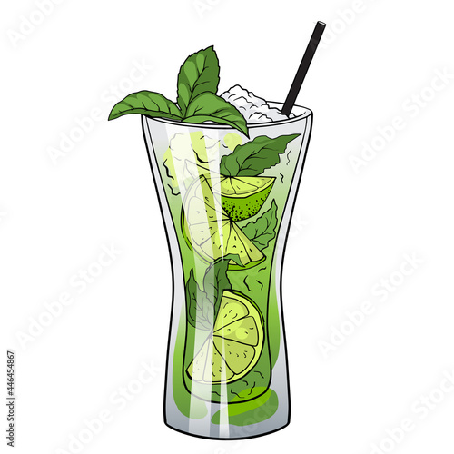 Mojito cocktail, hand drawn cocktail with ice, mint and lime. Vector illustration
