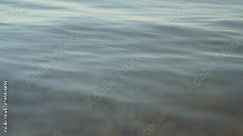 Water surface on the river