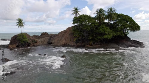beach with palm trees Island - Drone