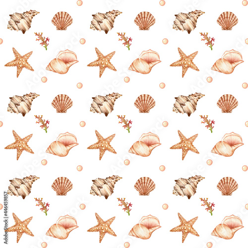 Collection of Watercolor seamless pattern - underwater world. Seashells, starfish, coral bubbles on a white background. 