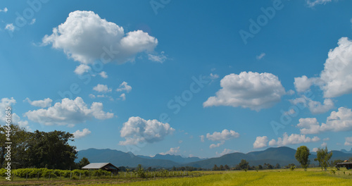 Blue sky and beautiful cloud with rice field. countryside landscape