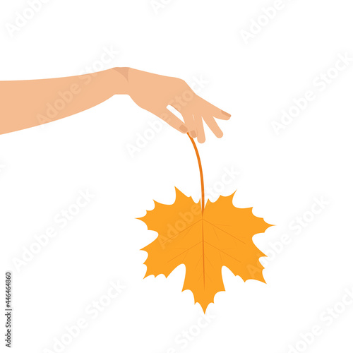 Hand holds an autumn leaf. Autumn. minimalism. Details. Vector graphics