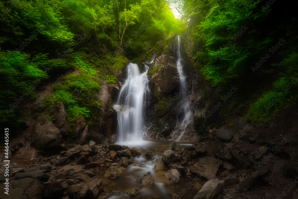 Waterfall deep in the forest. The beauty of green plants in summer time. 