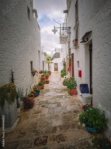 Alberobello rua caminho