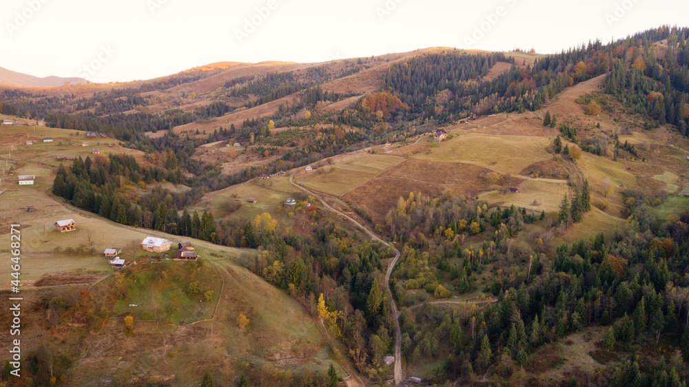 amazing aerial view of colorful autumn trees (forest) in mountaines. drone shot.