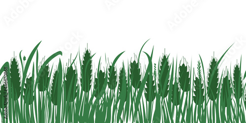 Wheat and grass field. Horizontal repeat endless border. Spikelet silhouettes on white background. Vector isolated illustration for farm, bakery