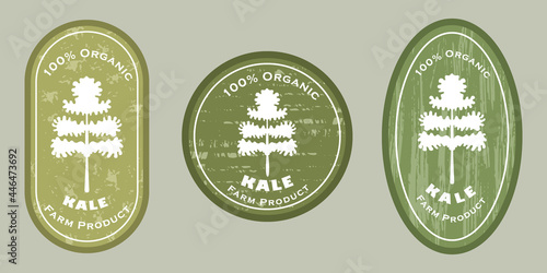 Three logo patches with kale and texture