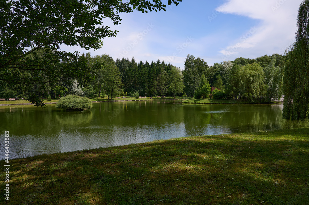 pond in the park of culture and recreation in the botanical garden pond in the park of culture and recreation in the botanical garden
