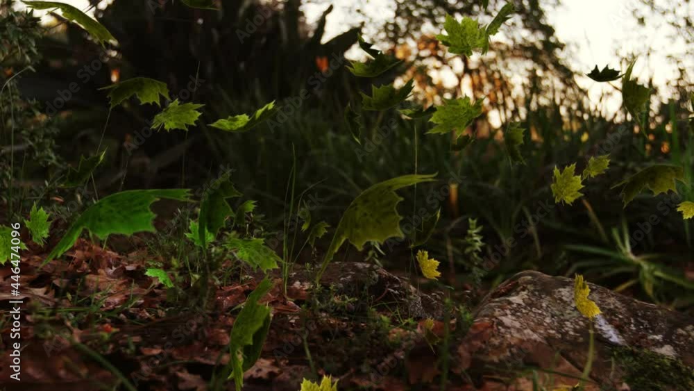 Animation of multiple leaves falling over green forest Animation of multiple leaves falling over green forest