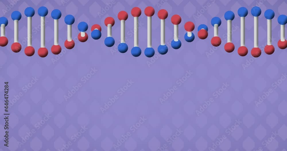 Animation of dna strand spinning over purple background Animation of dna strand spinning over purple background