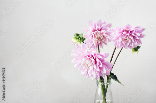 Fototapeta Naklejka Na Ścianę i Meble -  Bouquet of pink dahlias.