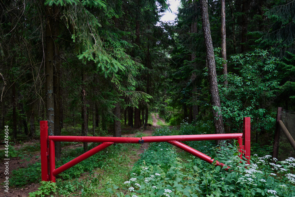 the barrier at the entrance to the forest is red