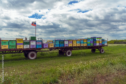 colorful mobile honey bee hives