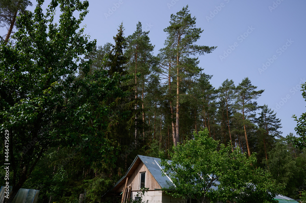 a shed made of white blocks with a galvanized roof next to the forest