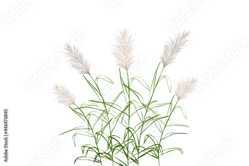 Cane silhouette on white background.Vector hand drawing sketch.