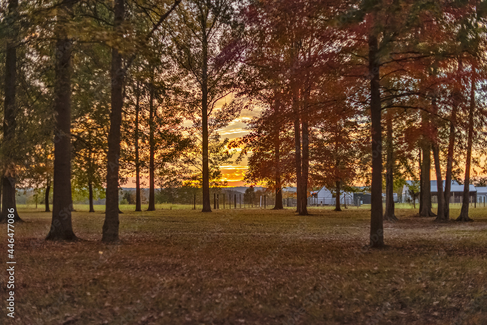 fall sunset barn landscape