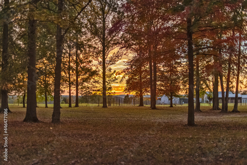fall sunset barn landscape