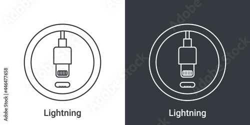 Lightning port icon. Socket sign of phone. Connectors icon. Vector illustration