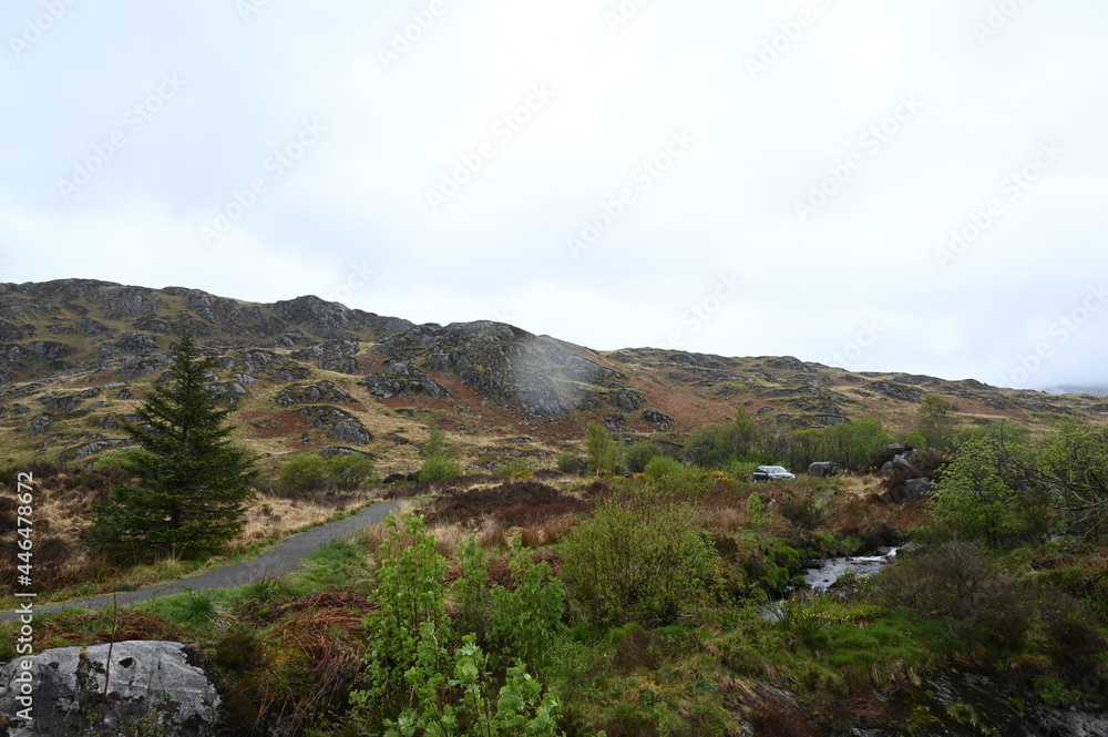 Bleak scottish Hillside