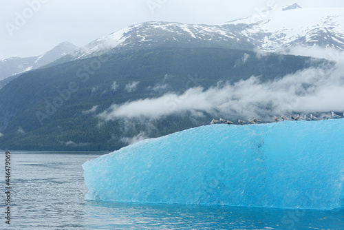 blue iceberg