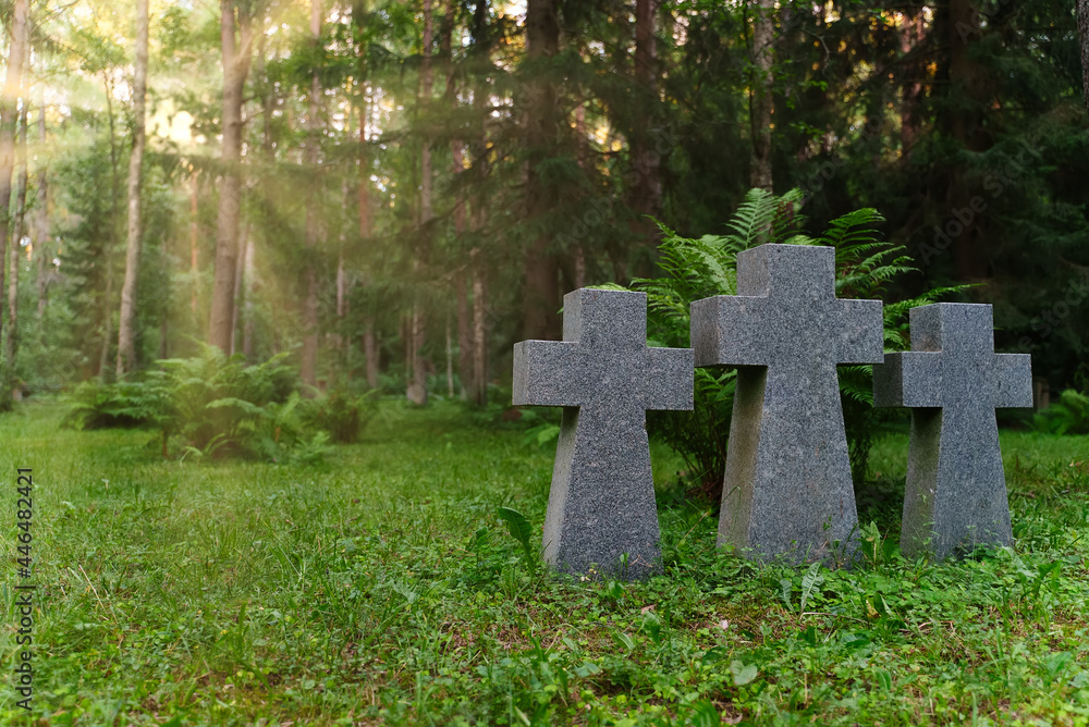 Three stone crosses in a cemetery in the forest. Three stone crosses in a cemetery in the forest.