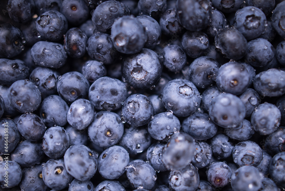 fresh blueberry with water drops fresh blueberry with water drops