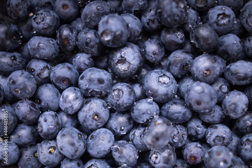 fresh blueberry with water drops
