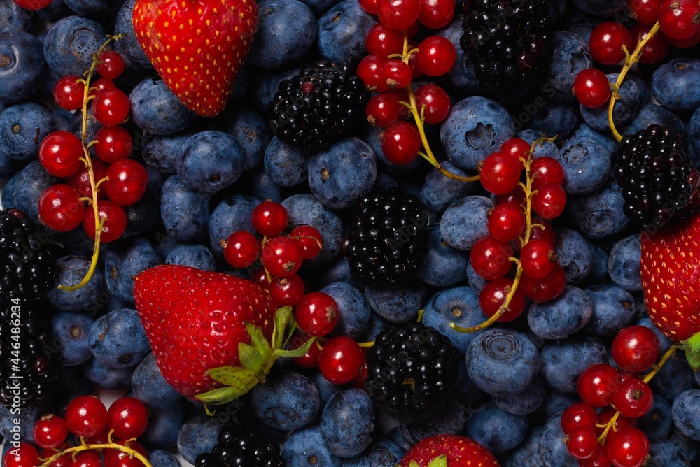 Blackberry, raspberry, blueberry, red currant and mint background. Blackberry, raspberry, blueberry, red currant and mint background.