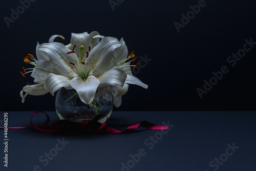 Flowers of white lilies in a glass vase with a red ribbon on a dark background. Postkard. photo