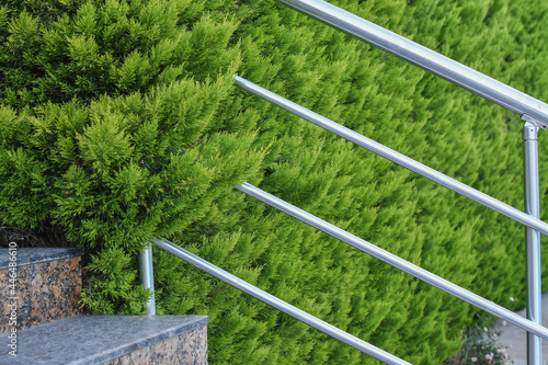 Close up of outdoor stairs with steel railings, covered by green thuja plants.