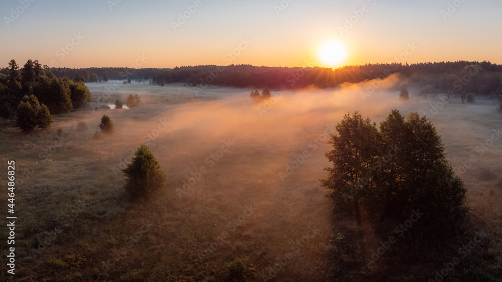 Gorgeous shot of fog in the countryside lit by first rays of the rising sun. Morning landscape of the valley