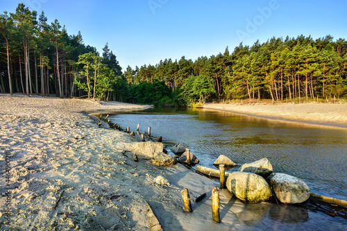 Fototapeta Naklejka Na Ścianę i Meble -  the Piasnica river flowing into the Baltic Sea in Poland, beautiful landscape 