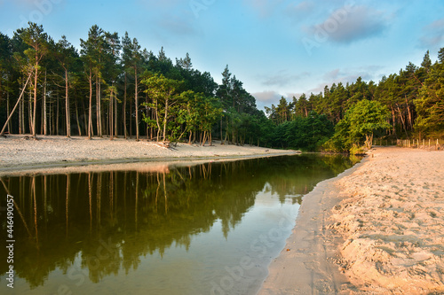 the Piasnica river flowing into the Baltic Sea in Poland, beautiful landscape  photo