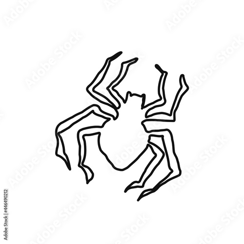 spider. black spider. halloween holiday. black wickedness