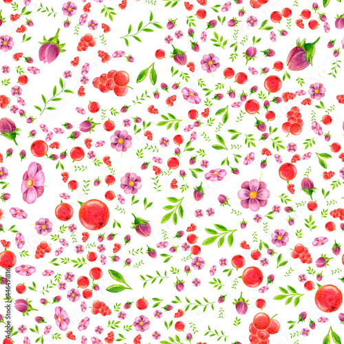 Seamless pattern of juicy red berries green leaves of blooming flowers buds drawing with colored pencils on a white background