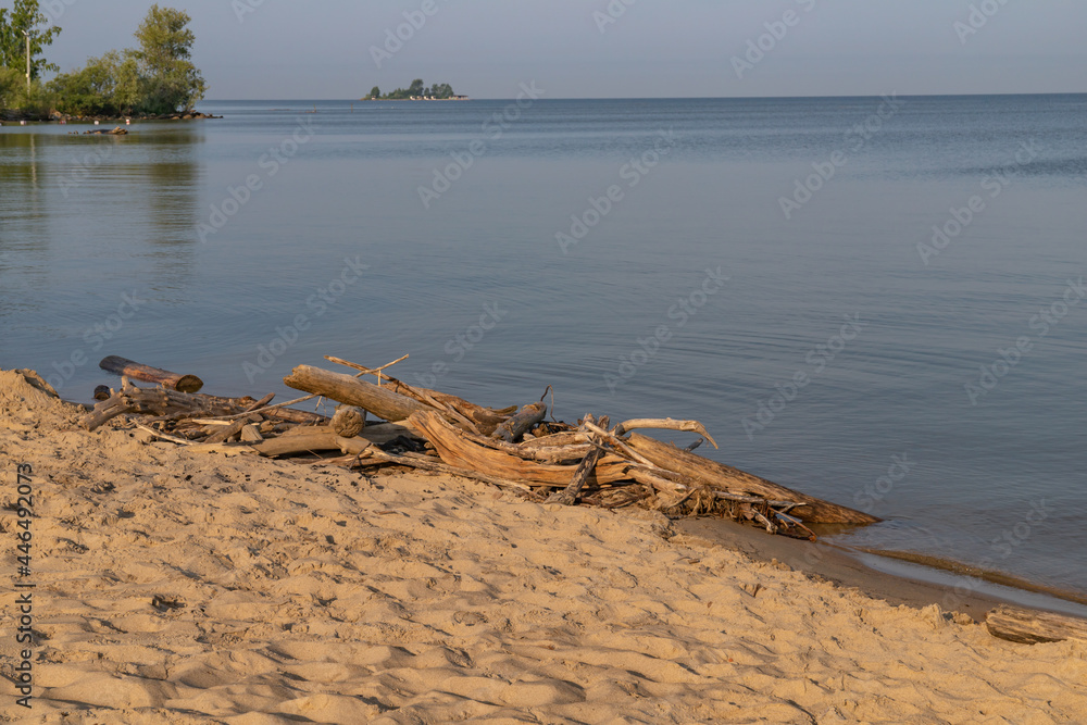 Old logs and branches of dead trees have floated on the bank of Berdsky Bay in Siberia.
