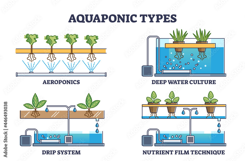 Aquaponic watering and irrigation model types for plants outline