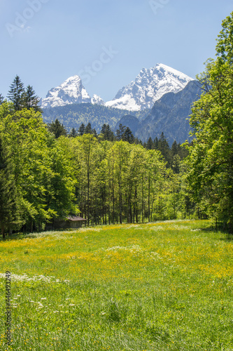 Bergwiese im Berchtesgadener Land